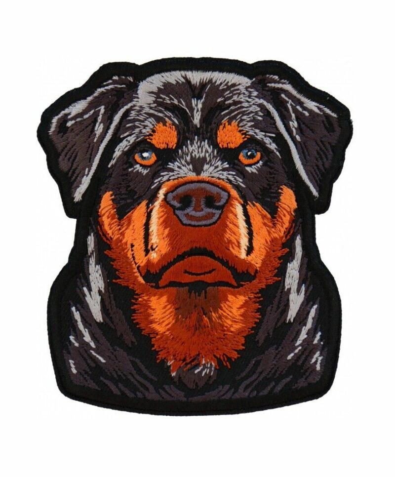 Small Vicious Rottweiler Stare Dog Embroidered Patch Free Shipping Inside USA
