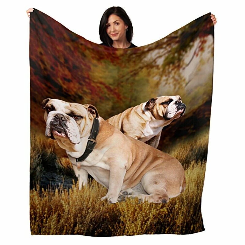 Sitting Bulldogs Dogs 50x60 Soft And Plush Minky Polyester Throw Blanket